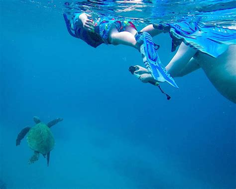 Exclusive offer for maui magic snorkel with promo code